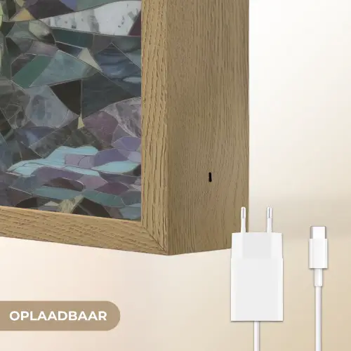 Vissen - Koraal - Zee - Mozaïek Light Box met batterij (Wandlamp) middel -USP_websiteoplaadbaarNL