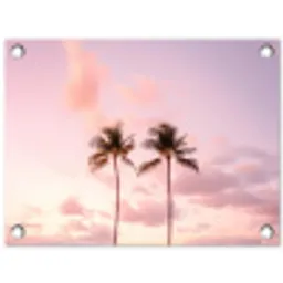 Palmbomen - Paars - Wolken - Lucht tuinposter los doek klein -3d
