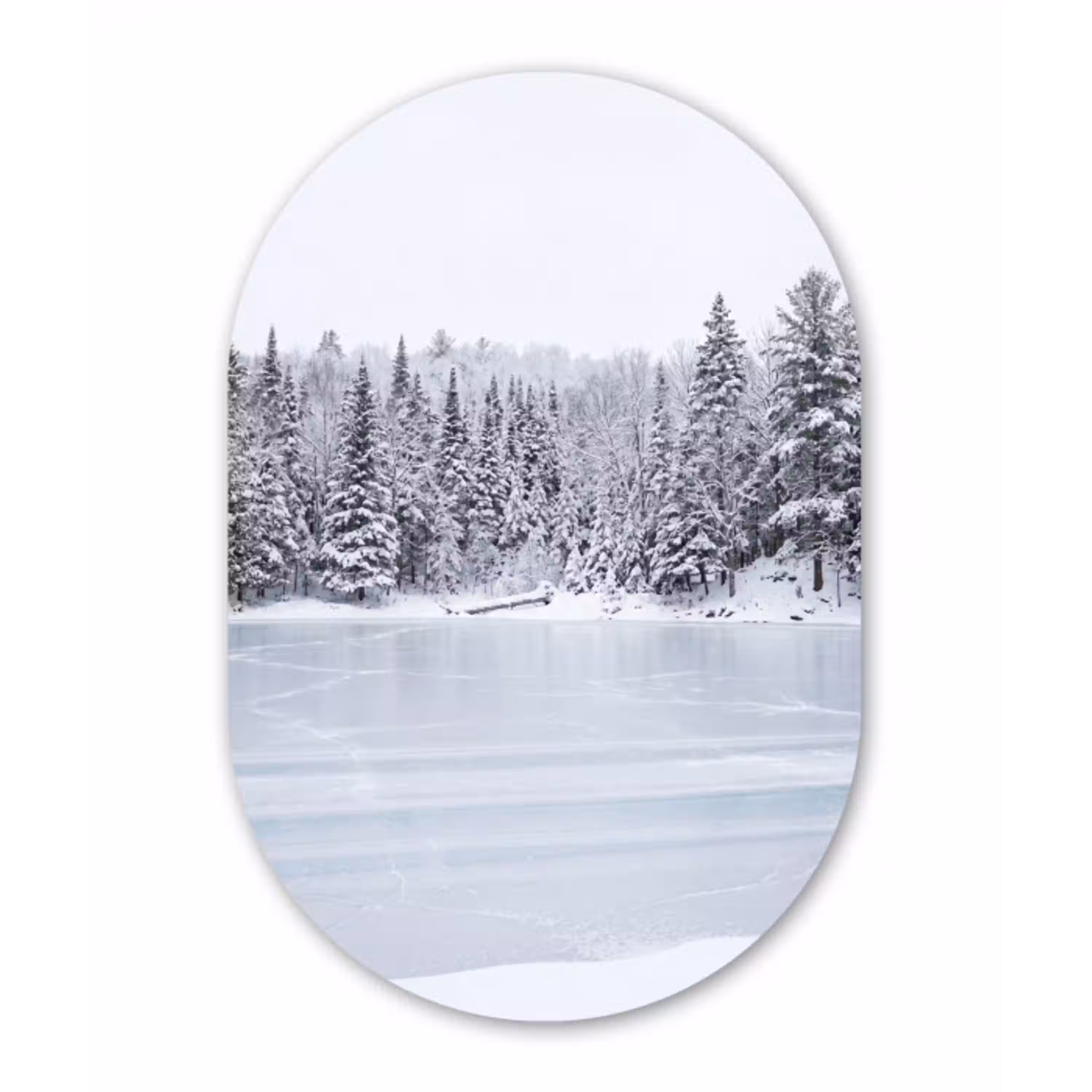 Meer - Dennen - IJs - Winter - Rustgevend Wandcirkel Ovaal Aluminium middel -3d