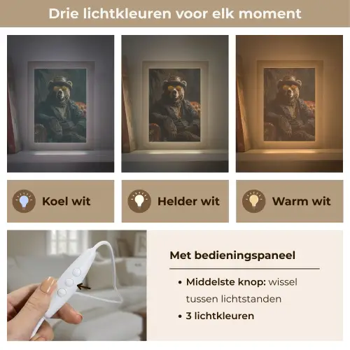 Beer - Bruin - Pak - Hoed Light Box met kabel (Tafellamp) klein -USP_lichtkleurNL