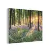 Bos - Bloemen - Lavendel - Zon - Paars - Natuur PET vilt klein -3d