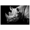 Dieren - Neushoorn - Zwart - Wit - Portret poster papier klein -3d