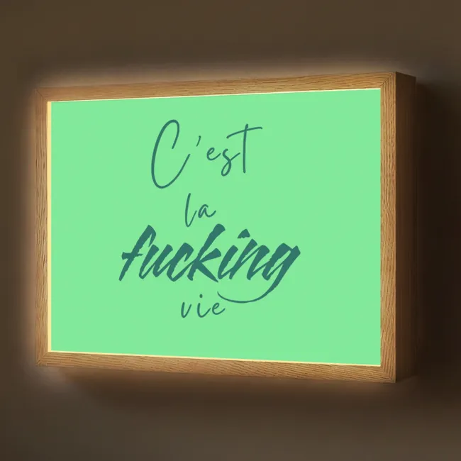 Lightbox - Wandlamp - c'est la fucking vie - Groen - Penseelstijl