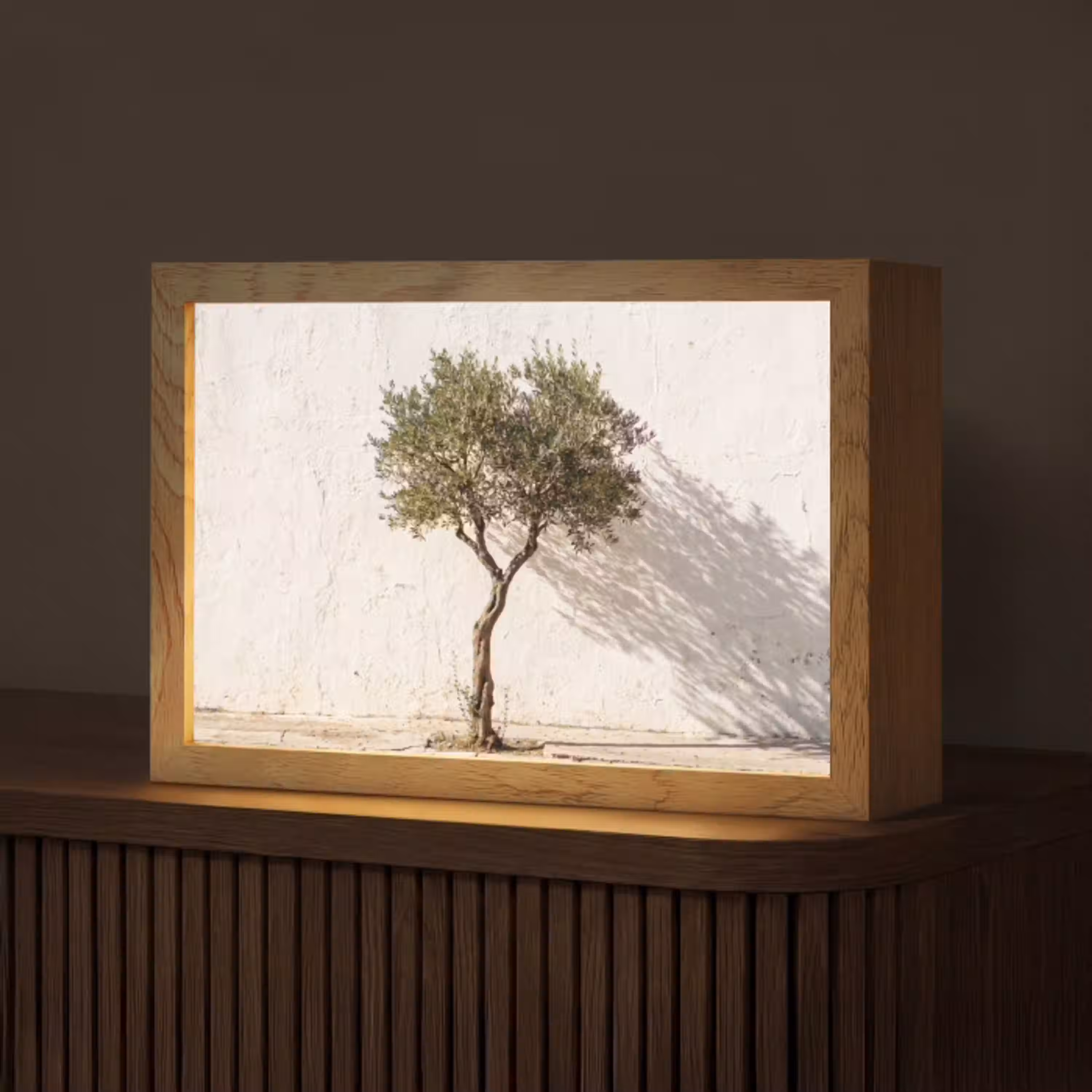 Olijfboom - muur - wit Light Box met kabel (Tafellamp) klein -z3d_website