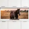 Paard - Zonsondergang - Bruin keuken achterwand 2 middel -3d