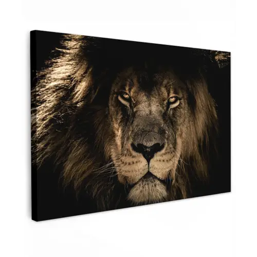 Leeuw - Dieren - Zwart - Portret canvas 2cm klein -z3d