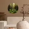 Bomen - Bos - Mos - Planten - Zon - Natuur Wandcirkel kunststof plaat 5mm dik klein -sfeer1