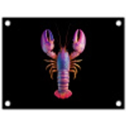 Kreeft - Paars - Roze - Zwart - Stippen - Lila tuinposter los doek klein -3d