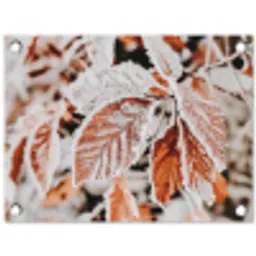 Bladeren - IJs - Winter - Natuur tuinposter los doek klein -3d