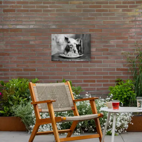 Varken - Schattig - Spaghetti - Zwart wit - Dier Tuinposter op houten frame 2 cm dik klein -sfeer3