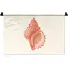 Schelp - Roze - Structuur Wandkleed katoen klein -zz3d