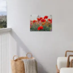 Rode klaprozen in de avondzon tuinposter los doek klein -sfeer8