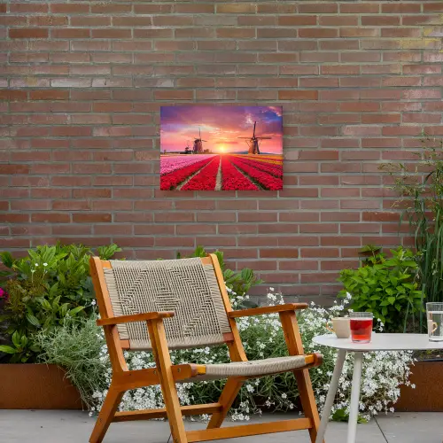 Tulpenvelden met windmolens bij zonsondergang Tuinposter op houten frame 2 cm dik klein -sfeer3