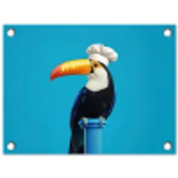 Tucan - Sokkel - Vogel - Koksmuts tuinposter los doek klein -3d