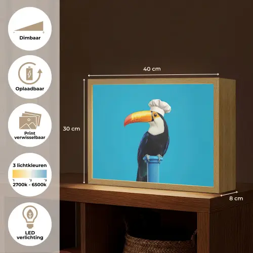 Tucan - Sokkel - Vogel - Koksmuts Light Box met batterij (Wandlamp) middel -USP_websiteoverzichtNL