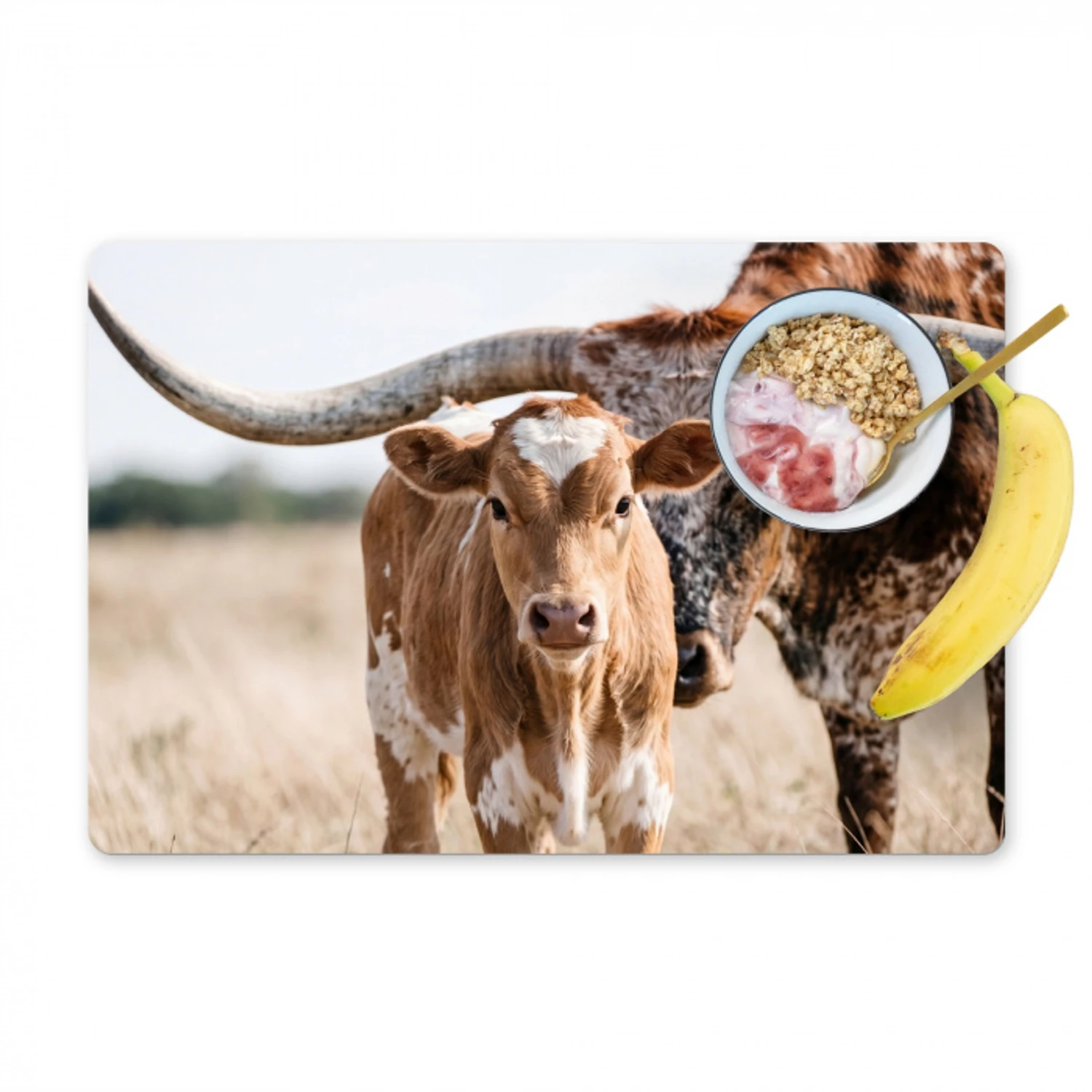 Texas Longhorn - Kalf - Weide - Dieren Placemat vinyl groot -zzzproduct_Kitchenyeah-website