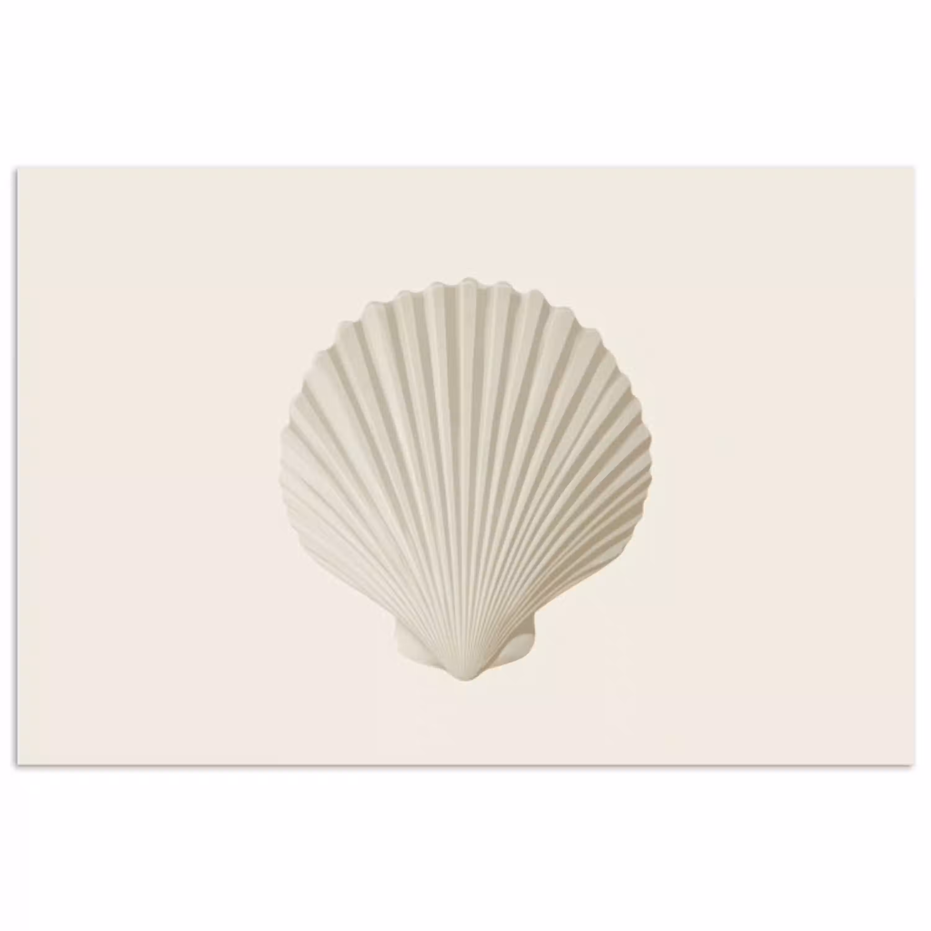 Schelp - Minimalistisch - Wit poster papier klein -3d