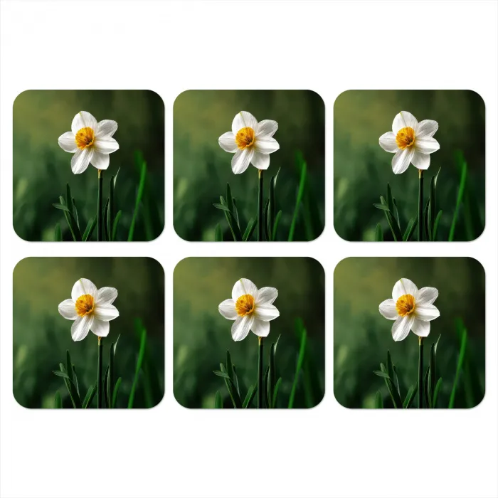 Narcis - Bloem - Wit - Grassprieten onderzetter kurk middel -3d