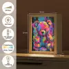 Beer - Verf - Kleurrijk - Knuffeldier Light Box met kabel klein -USP_NL