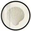 Schelp - Minimalistisch - Wit Fotolijst rond zonder passe partout klein -3d