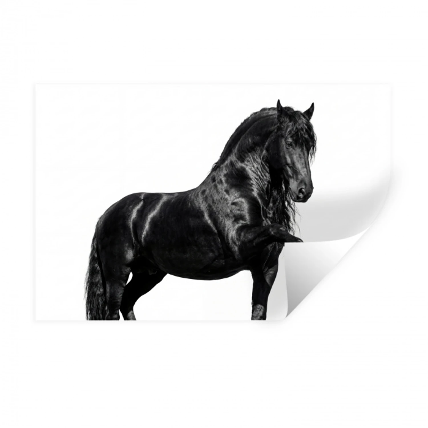 Fries - Hengst - Modern Muursticker klein -3d