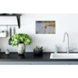 Vogel - Steltloper - Water - Natuur Muursticker klein -keuken