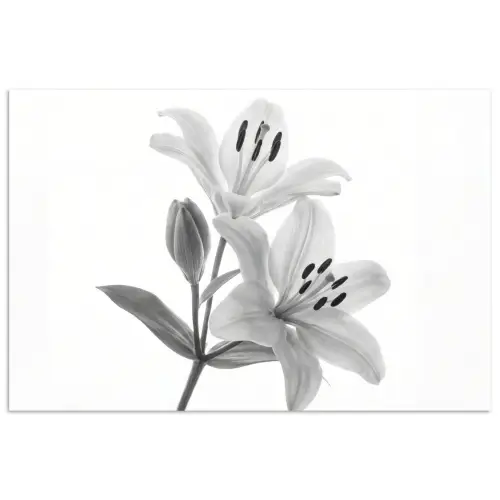 Lelies - Elegant - Zwart - Wit poster papier klein -3d