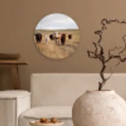 Runderen - Kudde - Landschap - Weide - Rustig Wandcirkel kunststof plaat 5mm dik klein -sfeer1