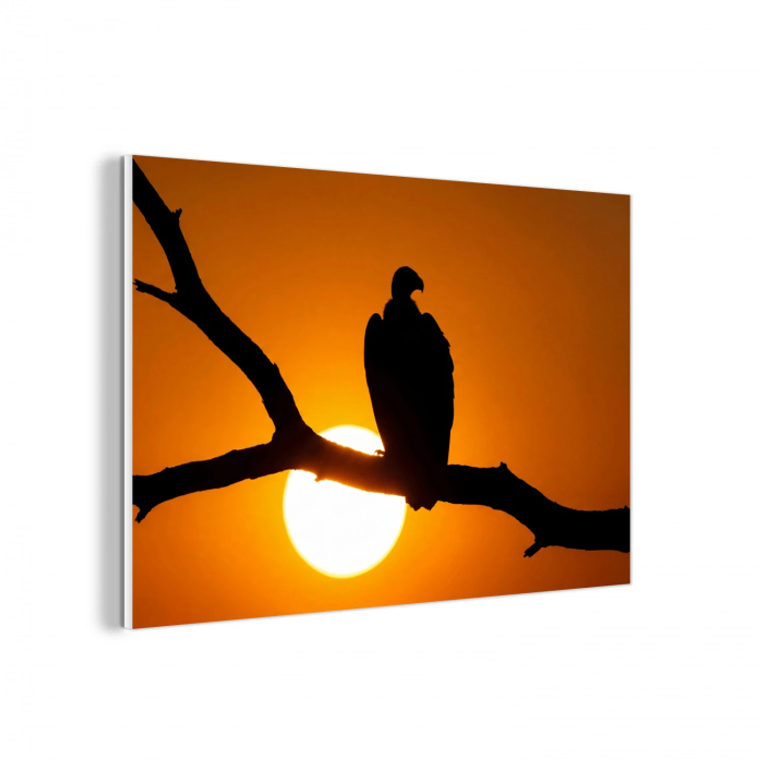 Gier - Tak - Zon - Oranje forex 5mm xxl -3d