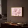 Bloem - Pioenroos - Roze Light Box met batterij (Wandlamp) middel -sfeer1