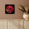 Bloem - Roos - Rood - Zwart plexiglas 5mm klein -sfeer5