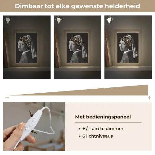 Het meisje met de parel - Johannes Vermeer - Panterprint Light Box met kabel (Wandlamp) klein -USP_dimbaarNL