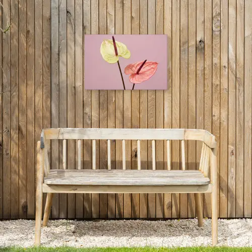 Bloemen - Anthuriums - Geel - Roze Tuinposter op houten frame 2 cm dik klein -sfeer4