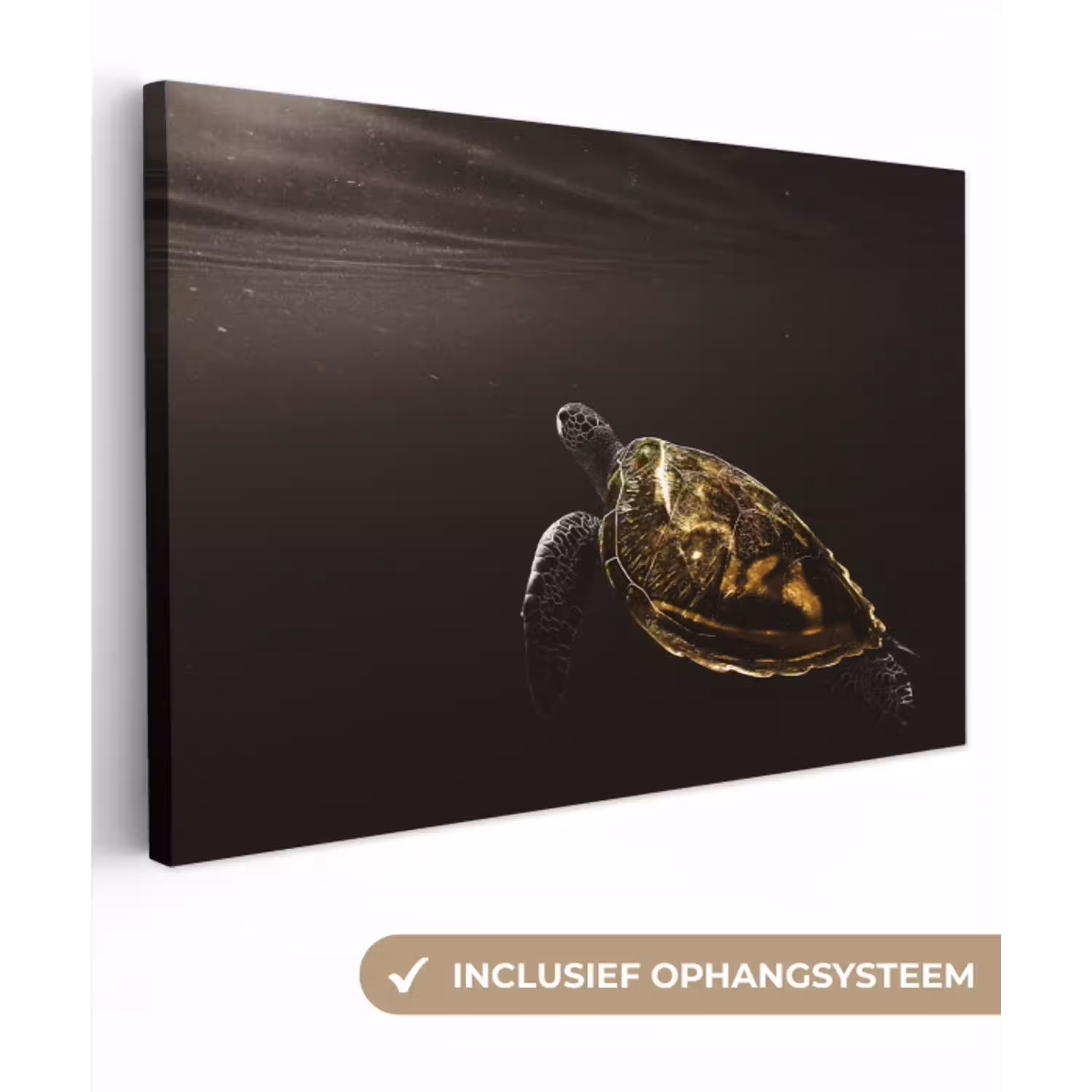 Schildpad - Zwart - Goud canvas 2cm klein -3d