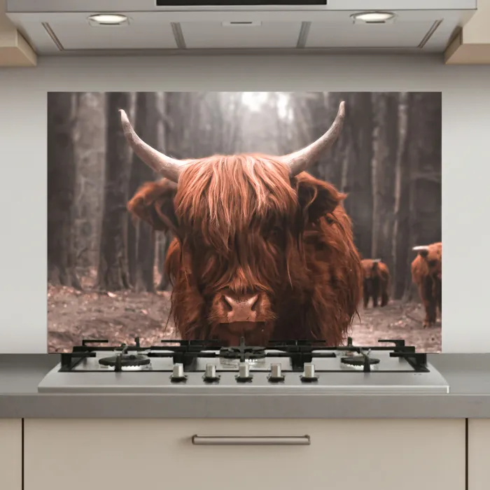 Schotse hooglander - Bos - Koe - Dieren - Natuur keuken achterwand spatscherm klein -3d_website