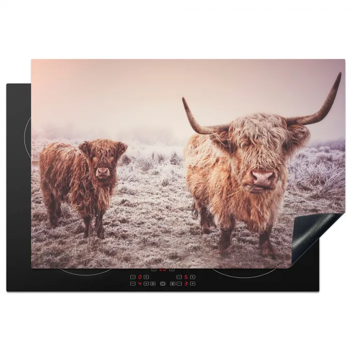 Schotse hooglanders - Licht - Lucht - Natuur Inductie beschermer vinyl 3mm klein -3d