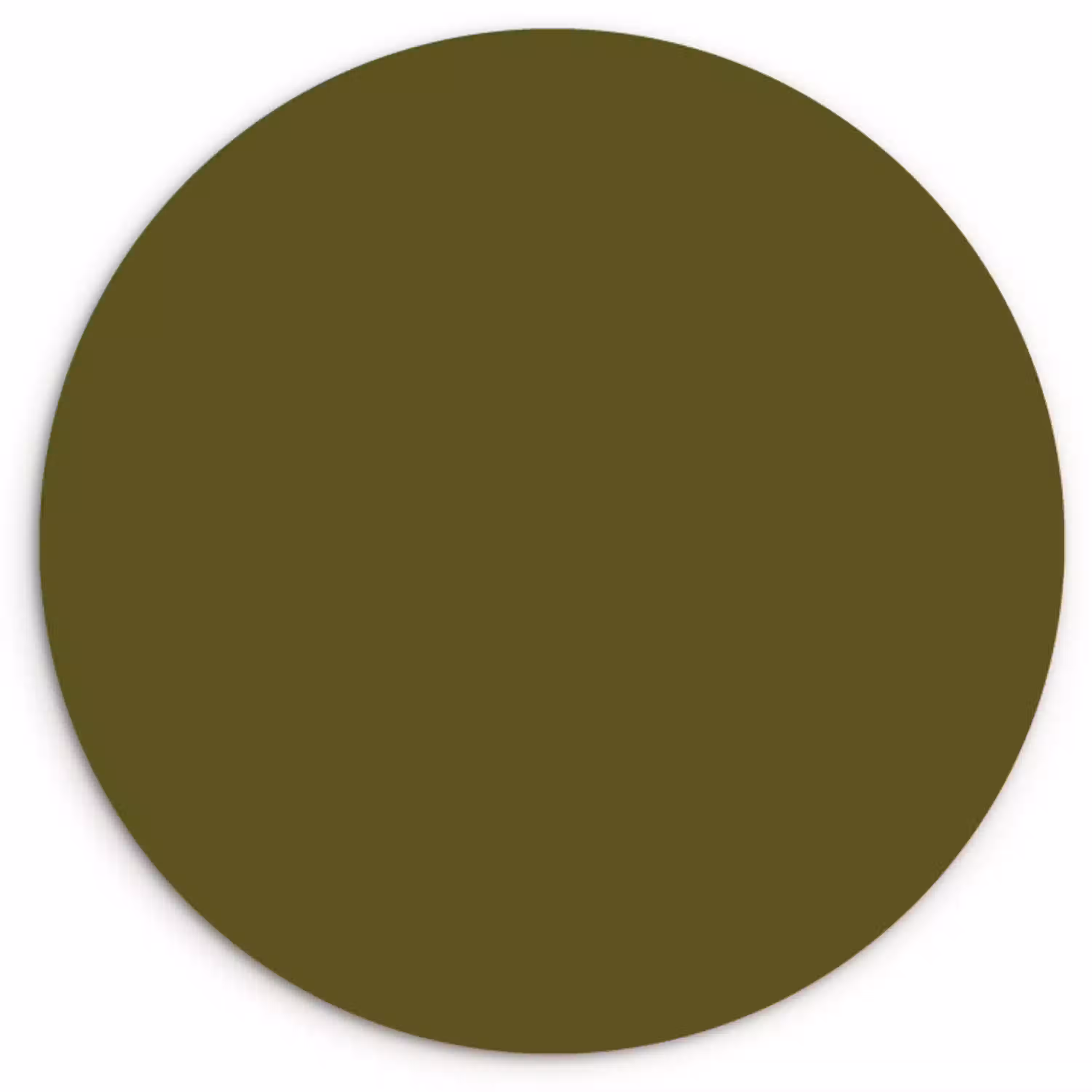 Dark - Olive - Groen Wandcirkel kunststof plaat 5mm dik klein 188 -3d