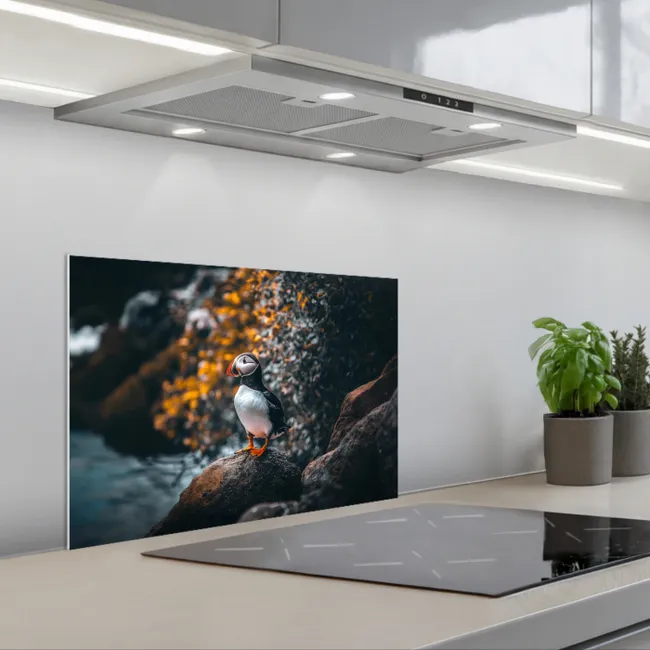 Papegaai - Vogel - Rots - Wit keuken achterwand spatscherm klein -3d_schuin