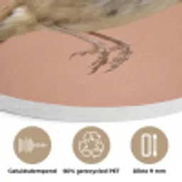 Roodborst - Natuur - Roze Akoestische PET Vilt - Rond klein -closeup_NL