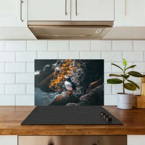 Papegaai - Vogel - Rots - Wit keuken achterwand spatscherm klein -sfeer2
