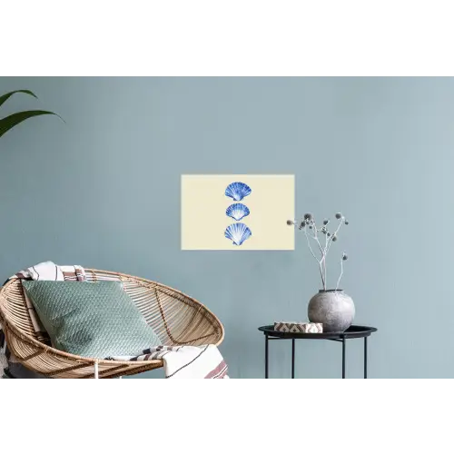 Schelpen - Blauw - Beige Muursticker klein -plant