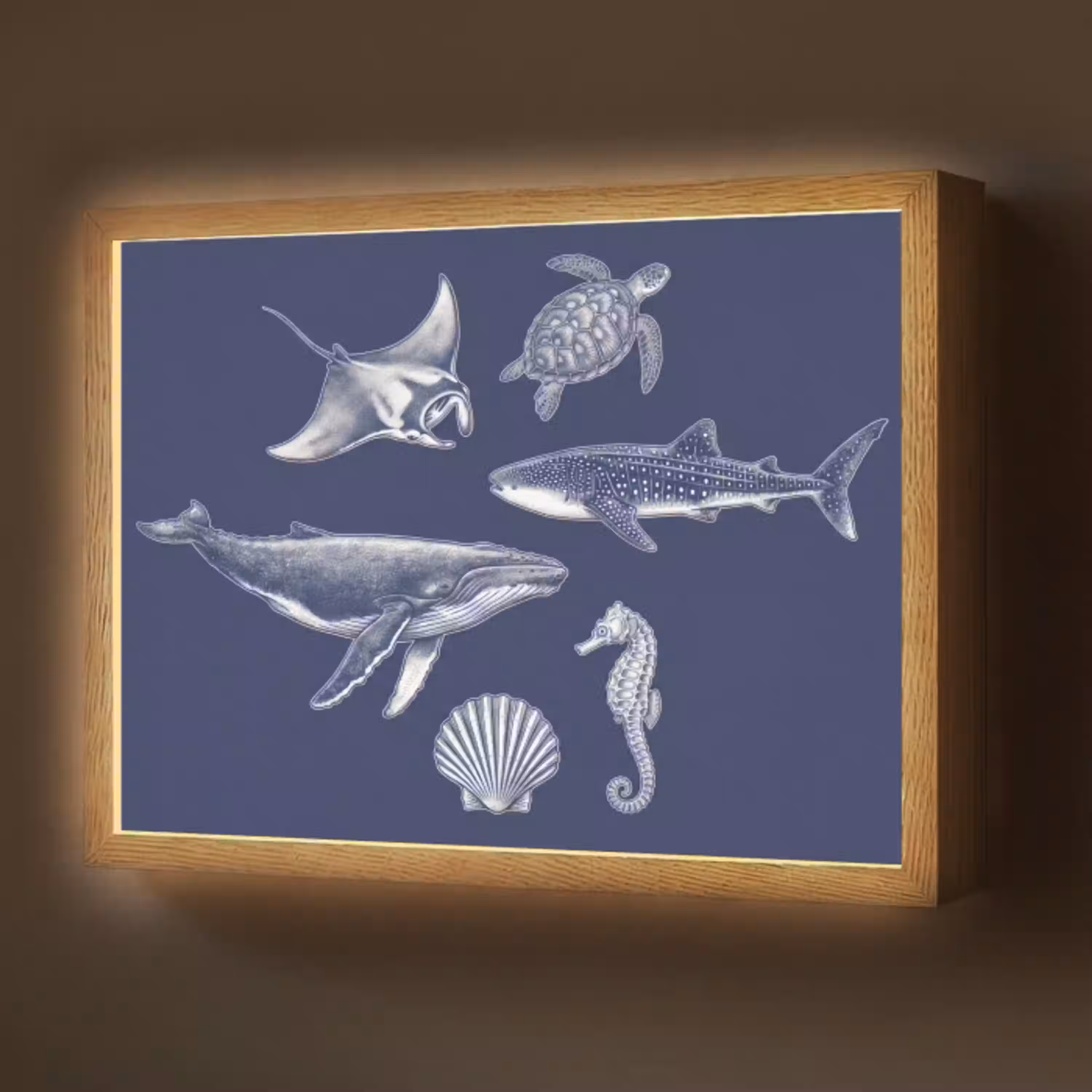 Dieren - Zeeleven - Oceaan - Graveren - Blauw Light Box met batterij (Wandlamp) middel -z3d_website