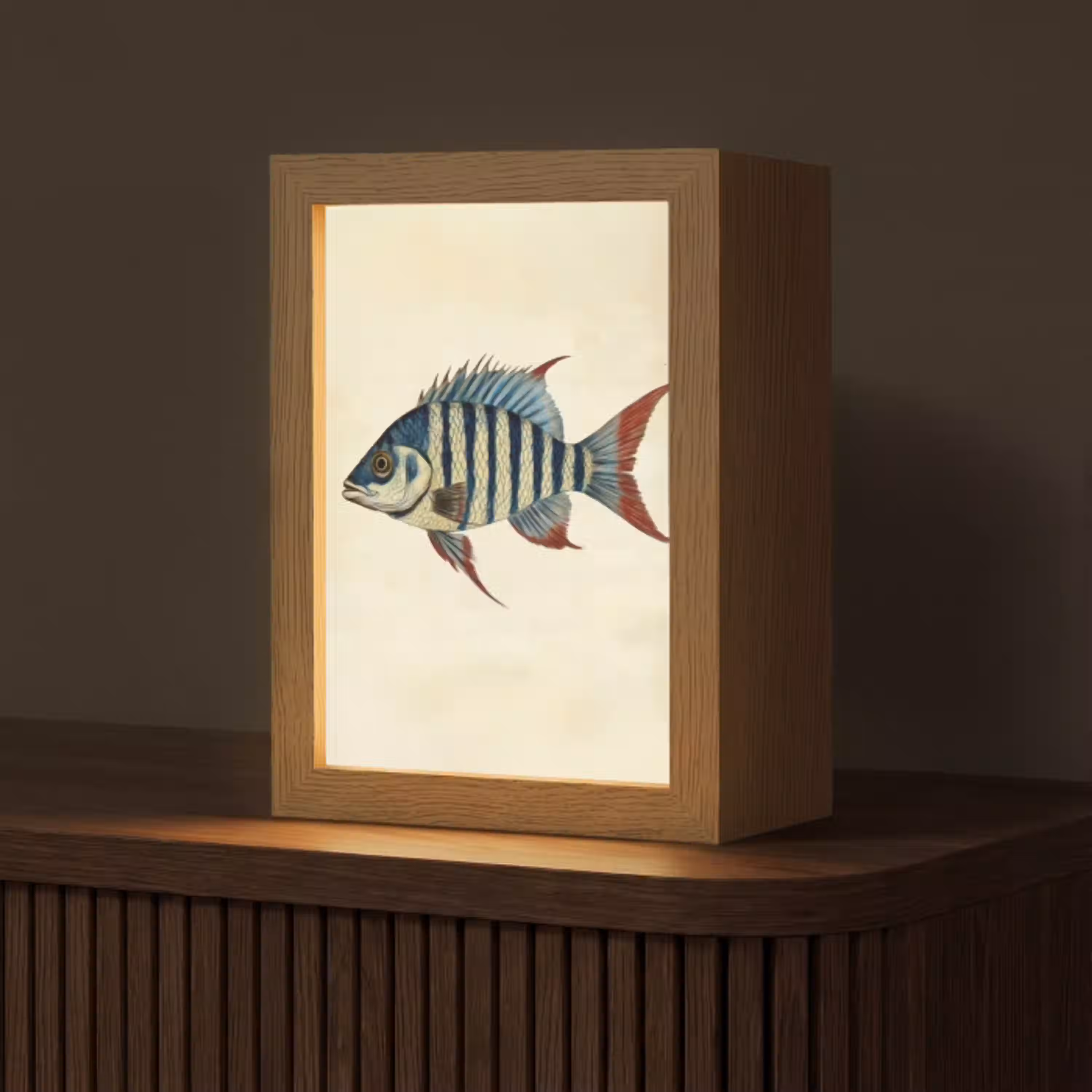 Gestreept - Donkerblauw - Rugvin - Vis Light Box met kabel (Tafellamp) klein -z3d_website