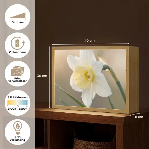 Narcis - Bloem - Minimalistisch Light Box met batterij (Wandlamp) middel -USP_websiteoverzichtNL