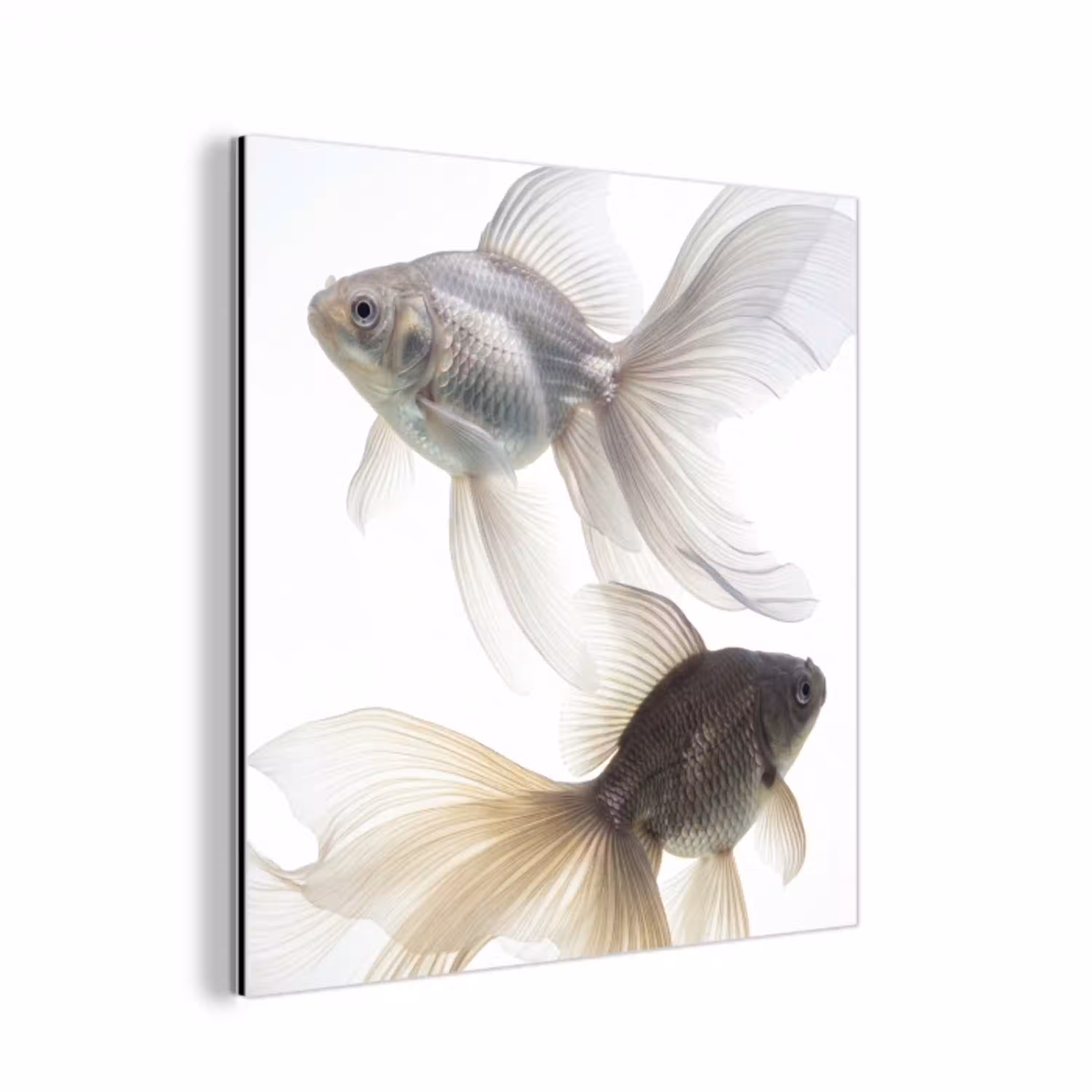 Goudvissen - Modern - Wit aluminium wit klein -3d