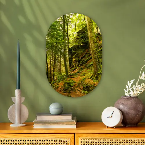 Bomen - Steen - Bos - Natuur - Planten Wandcirkel Ovaal Forex klein -sfeer2