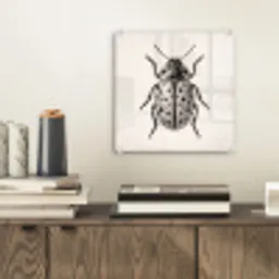 Kever - Insect - Vintage plexiglas 5mm klein -sfeer1