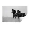 Paarden - Gras - Zwart - Wit Muursticker klein -3d