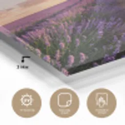 Landschap - Lavendelveld - Paars plexiglas 5mm klein -sfeer2