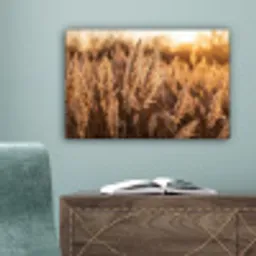 Rietpluimen - Gras - Zonsondergang - Goud - Serene canvas 2cm klein -sfeer4